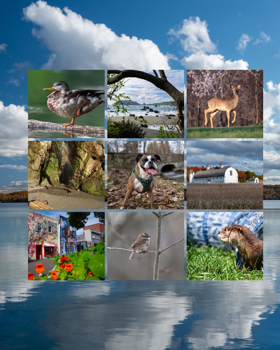 Photography page two